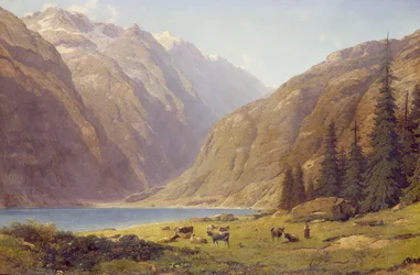 Immagine sconosciuta