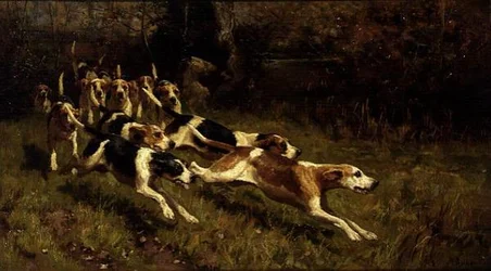 Caccia sfrenata