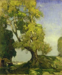 Paesaggio estivo