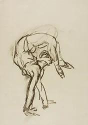 Contorsionista