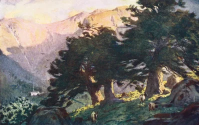 Distretto dei Laghi: Gli Yews di Borrowdale, sera