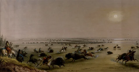 Un "circondamento" di Buffalo da parte degli indiani
