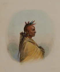 Testa di un Sioux