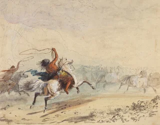 Cattura di cavalli selvaggi, c.1837