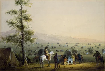 Il nostro campo
