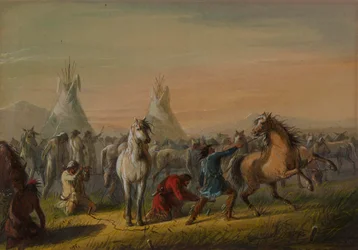 Cavalli da picchetto