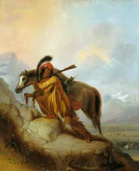 Il ciuffo