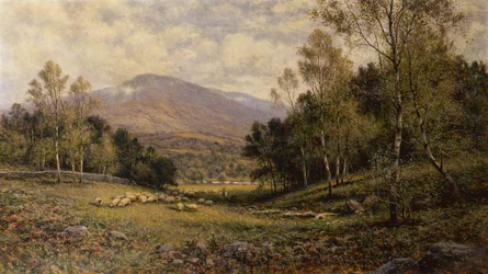Vicino a Bettws-Y Coed