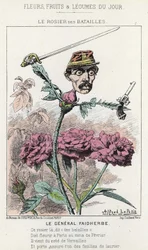 Il Rosier des Battailles: caricatura sul generale Faidherbes - ill. del 20/01/1871 in "Fiori, Frutti e Verdure del Giorno"