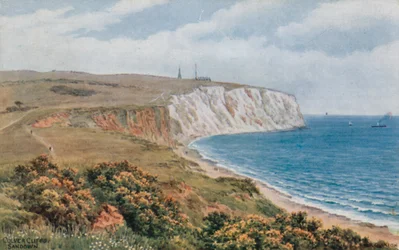 Scogliere di Culver, Sandown