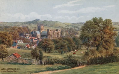 Cattedrale di Wells, da Milton Hill