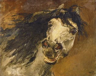 Studio della testa di un cavallo
