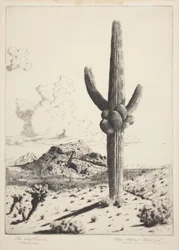 La sentinella (Sahuaro)