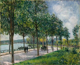 Viale di castagni