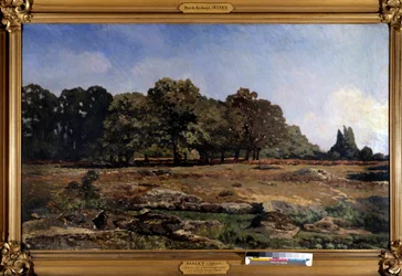 Viale di castagni a Celle Saint Cloud di Alfred Sisley