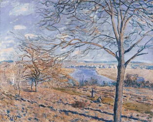 Rive del Loing