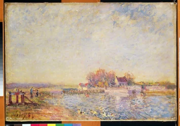 Scena fluviale con anatre, 1881