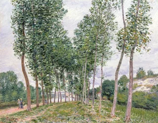 Il viale dei pioppi lungo le rive del Loing