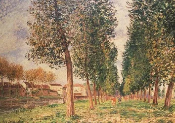 Il viale dei pioppi a Moret, giorno nuvoloso, mattina