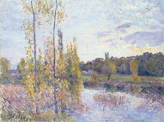 Immagine sconosciuta