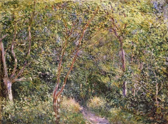 Immagine sconosciuta
