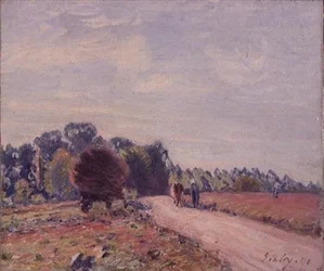 Immagine sconosciuta