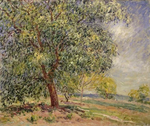 Noce a Sablons in primavera, 1885