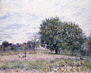 Alberi di noce, effetto del tramonto - Primo giorno di ottobre, 1882