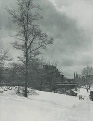 Un cielo invernale — Central Park