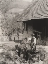 Alla pompa, Foresta Nera