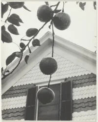 Gable e mele