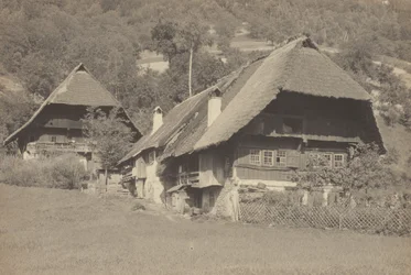 Case Gutach