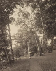 Sentiero di Hedwig, Oaklawn, Lake George