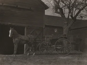Cavallo e carrozza