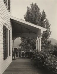 Casa, foglie e albero