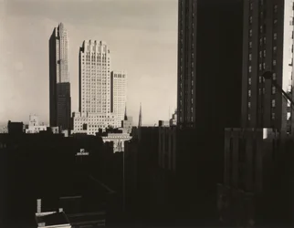 New York vista dallo Shelton
