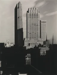 New York dallo Shelton