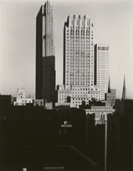New York dallo Shelton