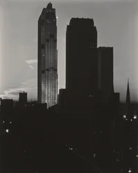 New York dallo Shelton