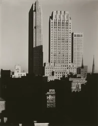 New York dallo Shelton