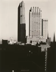 New York dallo Shelton