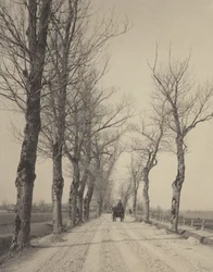 Giorni di novembre