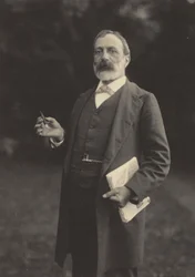 Professore Werner