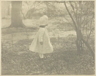 Primavera - Il bambino