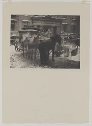 Il terminale, 1893 stampato 1911