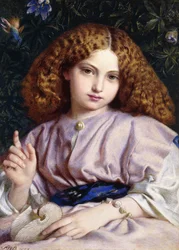 La bella conchigliatrice