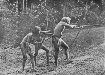 Veddahs o uomini selvaggi, c. 1890, 1910