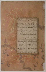Pagina di calligrafia da un