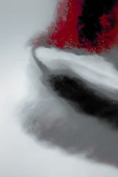 Mission, dalla serie Missionary, 2019 (fotografia)