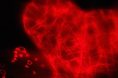 Tangled Heart, dalla serie Hearts, 2016 (fotografia)